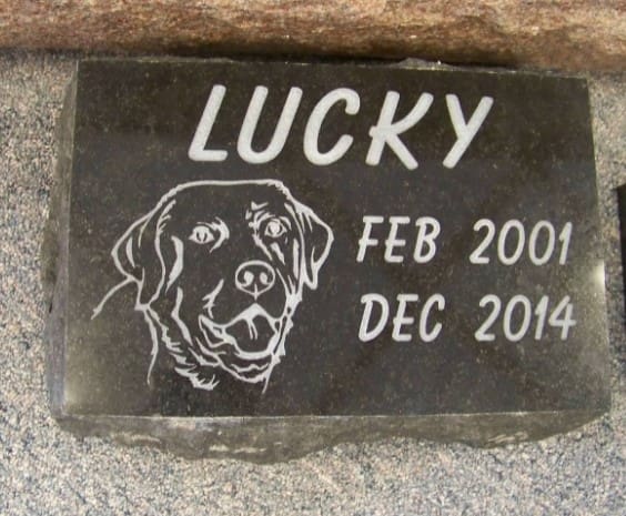 Lucky Pet Memorial