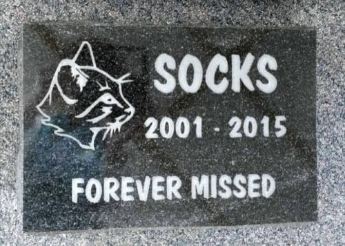 Socks Pet Memorial